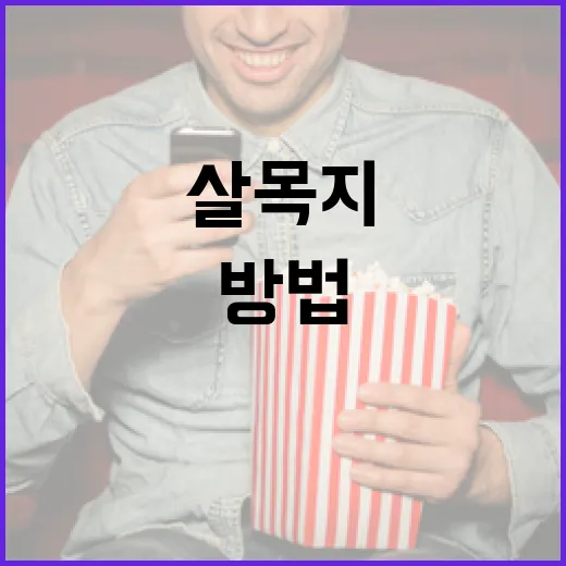 효율적으로 살목지를 관리하는 방법 - 요약