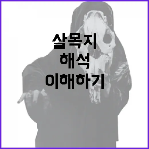 살목지를 해석하는 방법: 이해하기 쉽게 설명합니다 - 요약
