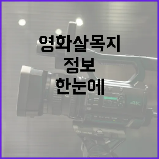 영화 살목지를 이해하는 방법: 모든 정보를 한눈에! - 요약