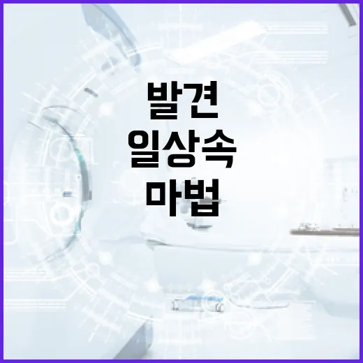 일상 속의 마법을 발견하는 방법 - 요약