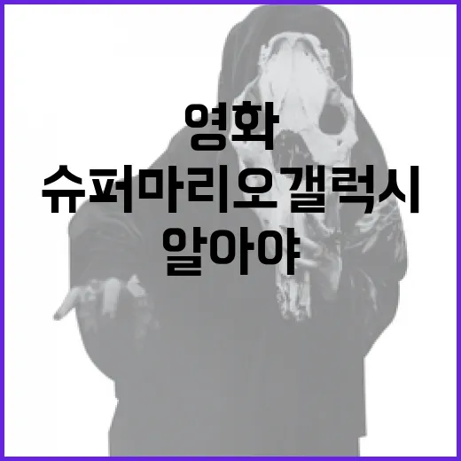 영화 