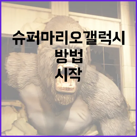 슈퍼마리오 갤럭시를…