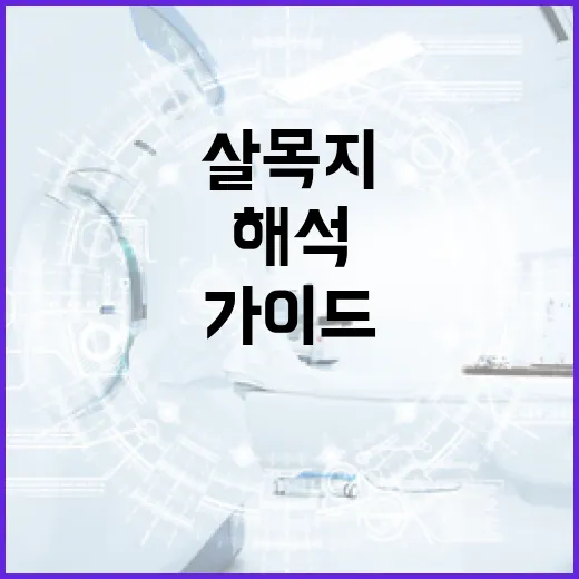살목지를 해석하는 방법: 초보자를 위한 가이드 - 요약