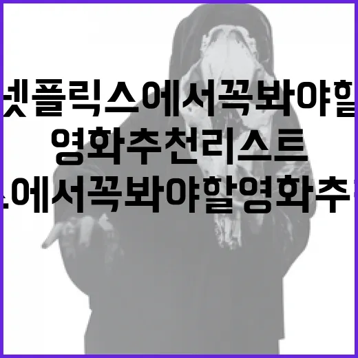 넷플릭스에서 꼭 봐야 할 영화 추천 리스트 - 요약