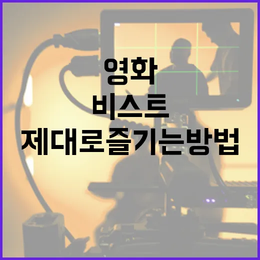 비스트 영화를 제대로 즐기는 방법 - 요약