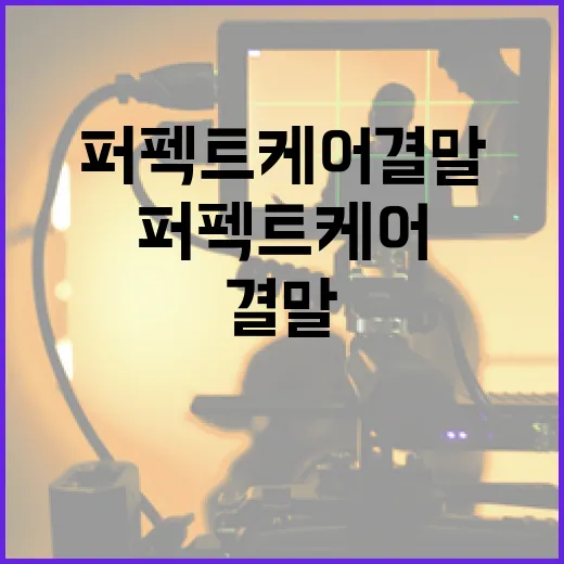 퍼펙트 케어 결말을 이해하는 방법 - 요약