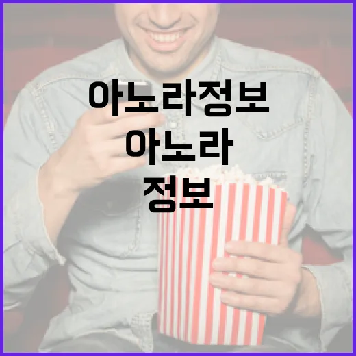 아노라 정보를 쉽게 이해하는 방법 - 요약