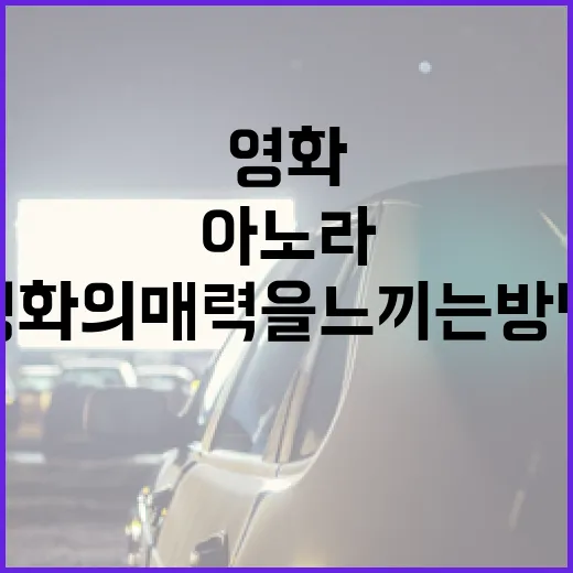 아노라 영화의 매력을 느끼는 방법 - 요약