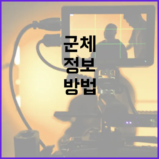 군체 정보를 효과적으로 이해하는 방법 - 요약