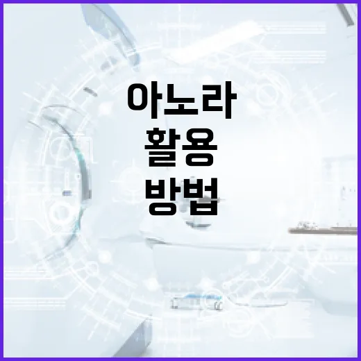 아노라를 이해하고 활용하는 방법 - 요약