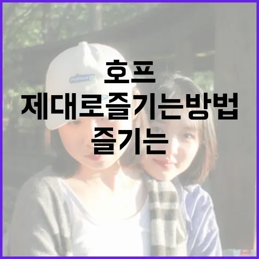 영화 호프를 제대로 즐기는 방법 - 요약