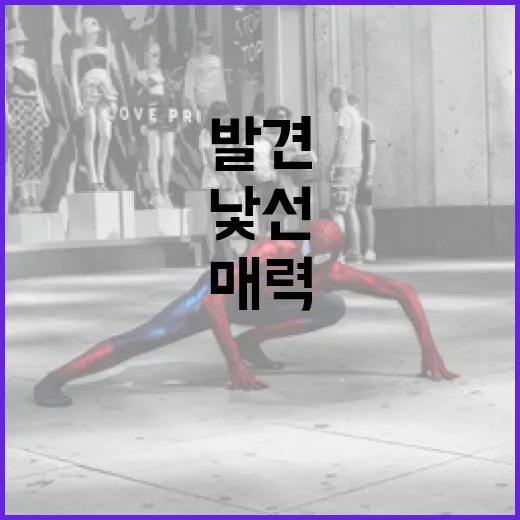 히든페이스를 발견하는 방법: 낯선 매력 찾기 - 요약