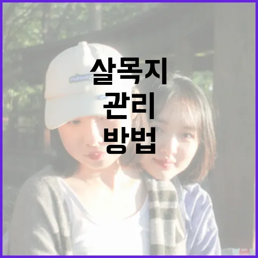 살목지를 효과적으로 관리하는 방법 - 요약