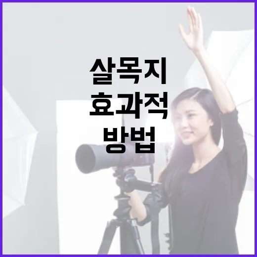 살목지를 이해하고 효과적으로 활용하는 방법 - 요약