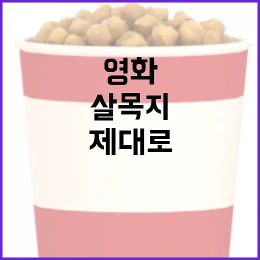 살목지 영화를 제대로 이해하는 방법 - 요약