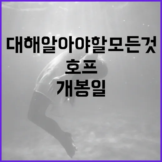 호프 개봉일에 대해 알아야 할 모든 것 - 요약