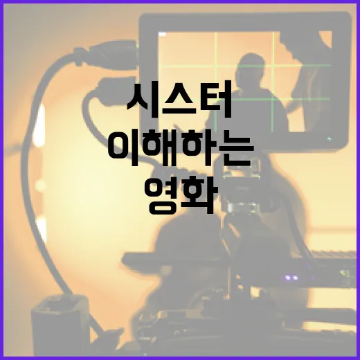 영화 시스터를 제대로 이해하는 방법 - 요약