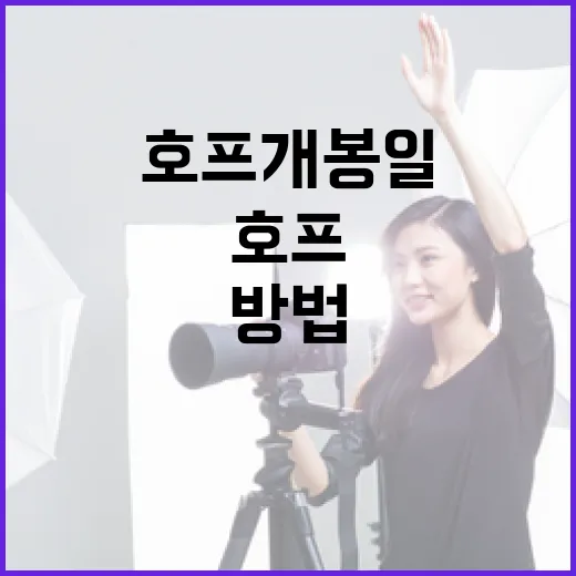 호프 개봉일을 놓치지 않는 방법 - 요약