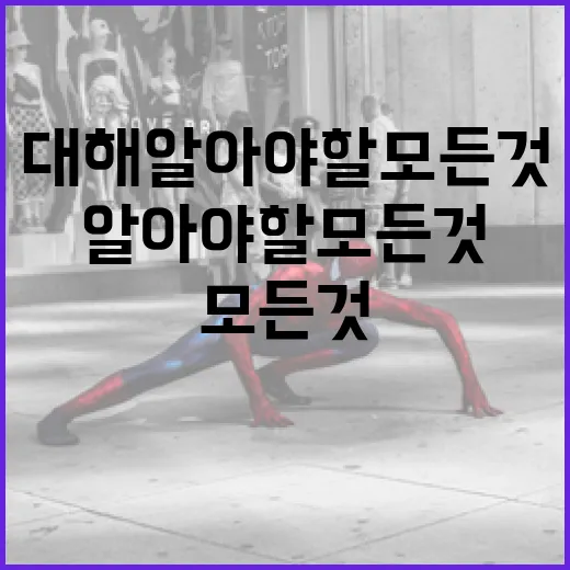 첨밀밀 1에 대해 알아야 할 모든 것 - 요약