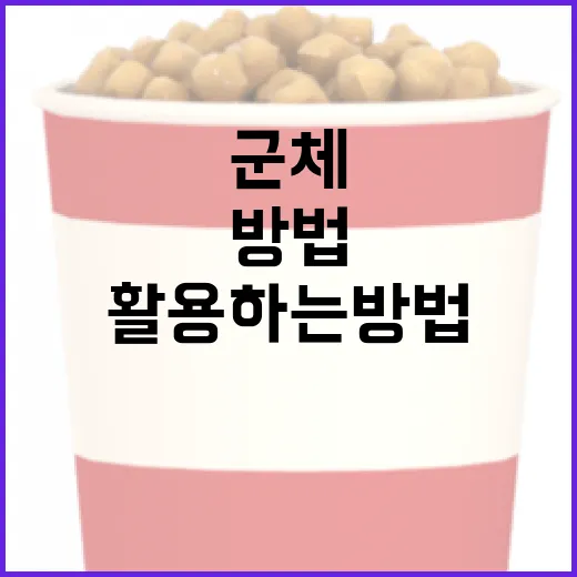 군체를 이해하고 활용하는 방법 - 요약