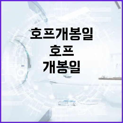 호프 개봉일을 성공적으로 준비하는 방법 - 요약