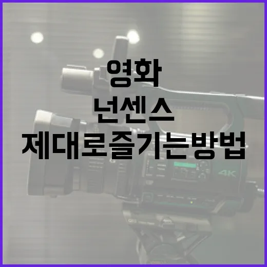 넌센스 영화를 제대로 즐기는 방법 - 요약