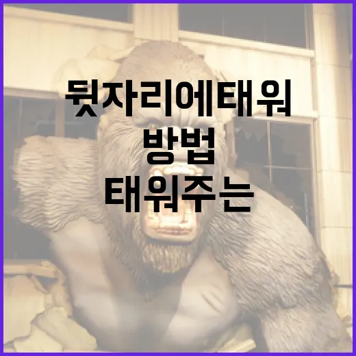 안전하고 즐겁게 뒷자리에 태워주는 방법 - 요약
