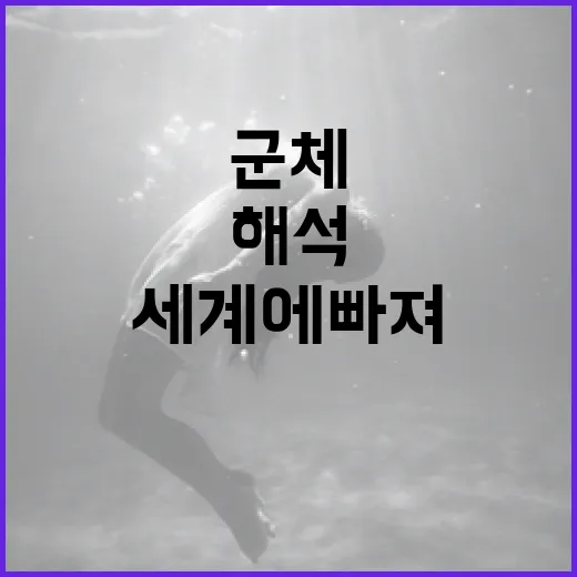 군체 해석의 매력적인 세계에 빠져보기 - 요약