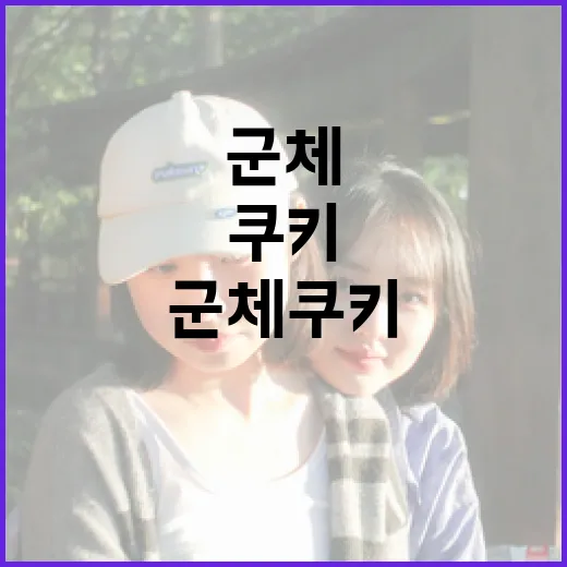 군체 쿠키, 정말 필요한가요? 이점과 고려사항 - 요약