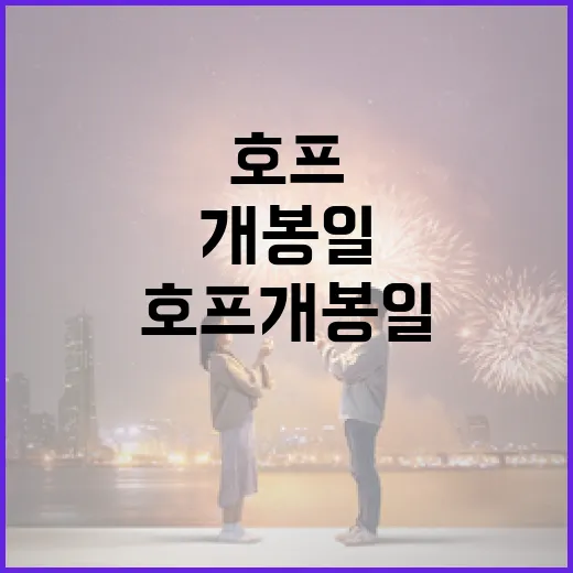 호프 개봉일을 기다리며 알아두면 좋은 것들 - 요약