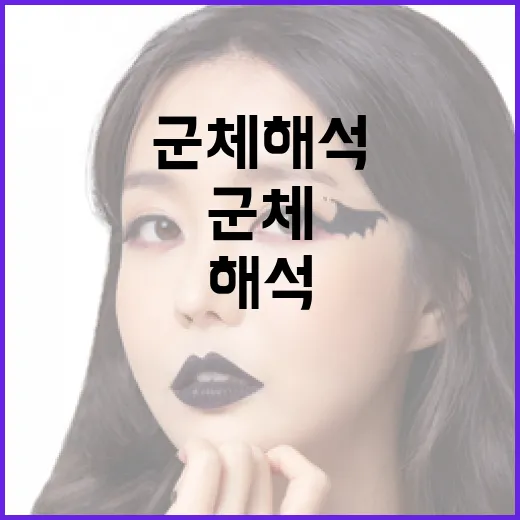 군체 해석 이해하기: 군체 행동의 비밀을 풀어보자 - 요약
