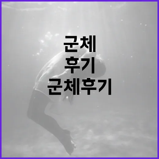 군체 후기: 제대로 알아보고 선택하는 방법 - 요약