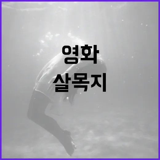 살목지 OTT로 드라마와 영화 즐기는 법: 초보자 가이드 - 요약