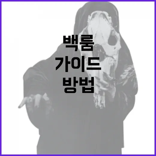 백룸의 신비를 푸는 방법: 초보자를 위한 가이드 - 요약