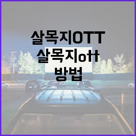 살목지 OTT 제대로 즐기는 방법 - 요약