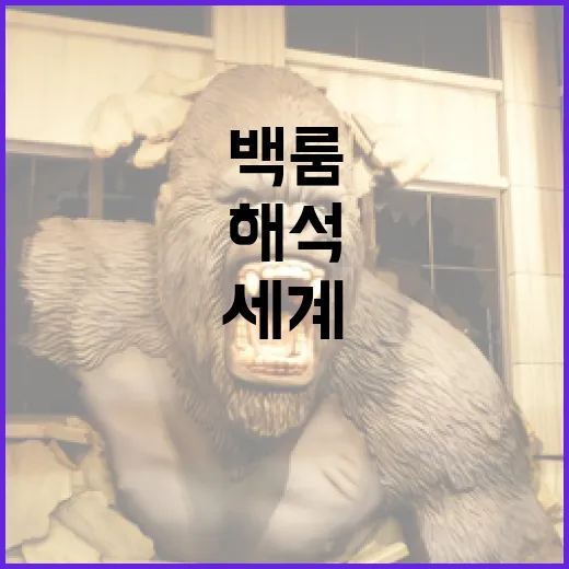 백룸의 신비로운 세계: 해석의 모든 것 - 요약