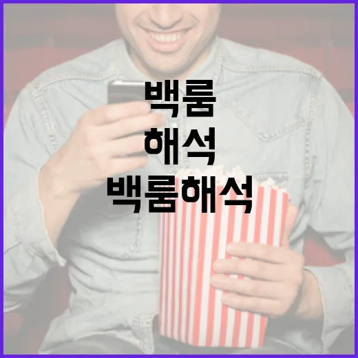 백룸 해석의 모든 것: 어디서부터 시작할까? - 요약