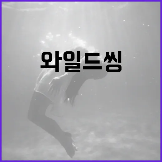 와일드 씽의 매력과 활용법 - 요약
