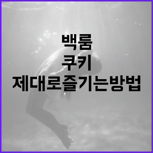 백룸 쿠키를 제대로 즐기는 방법 - 요약