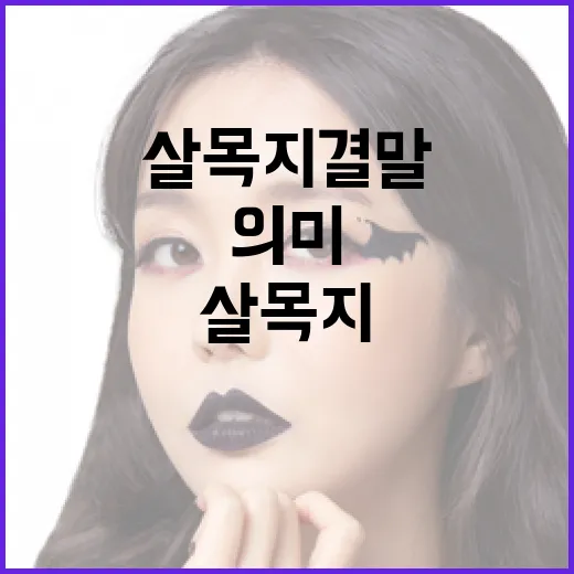 살목지 결말 이해하기: 그 뒷이야기와 의미 - 요약