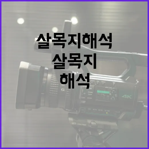 살목지 해석하는 방법: 쉽게 이해하기 - 요약