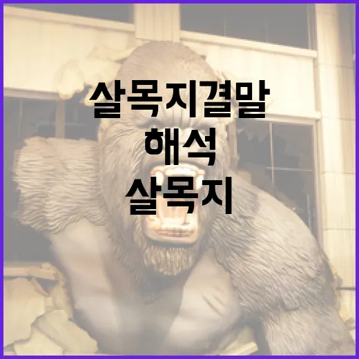 살목지 결말, 어떻게 해석할까? - 요약