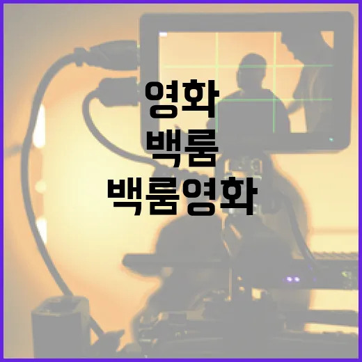 백룸 영화, 그 매력과 보는 방법 - 요약
