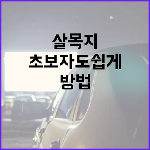 살목지를 잘 활용하는 방법, 초보자도 쉽게 시작! - 요약