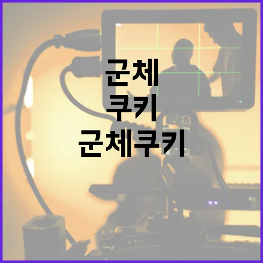 군체 쿠키 시작하기: 처음부터 제대로 배우는 방법 - 요약