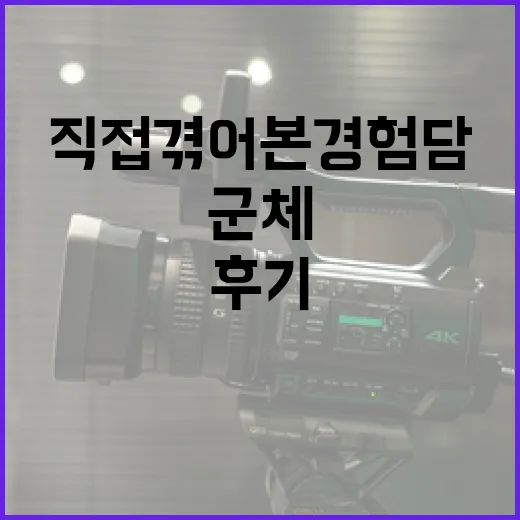 군체 후기, 직접 겪어본 경험담 - 요약