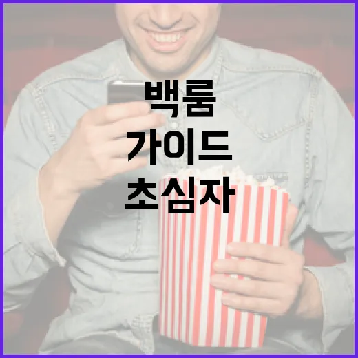 백룸 탐험: 초심자를 위한 안전하고 흥미로운 가이드 - 요약