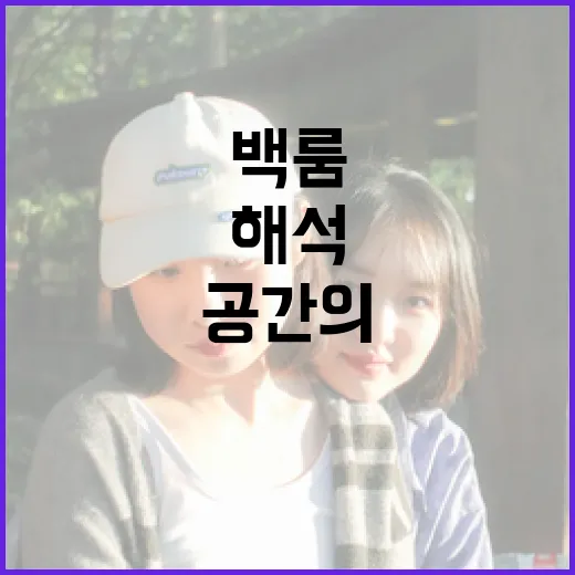 백룸 해석: 그 비밀스러운 공간의 진실 - 요약