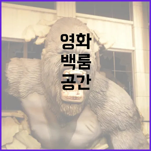 영화 백룸: 신비로운 공간을 탐험하는 방법 - 요약