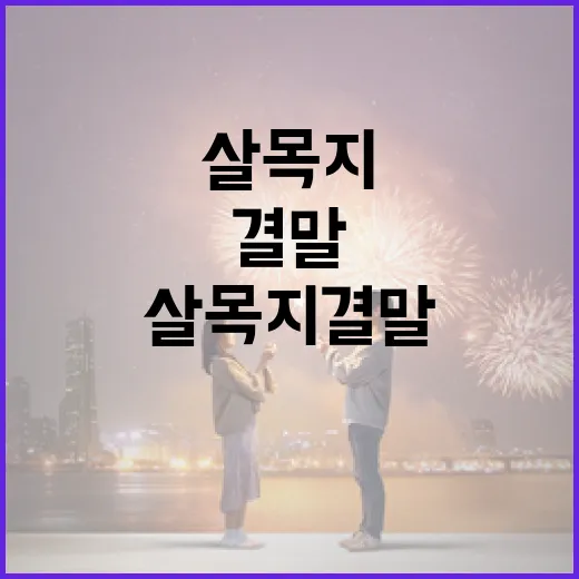 존슨 집안의 기묘한 사건들: 그들의 비밀을 파헤치다 - 요약